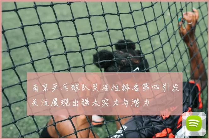 南京乒乓球队灵活性排名第四引发关注展现出强大实力与潜力