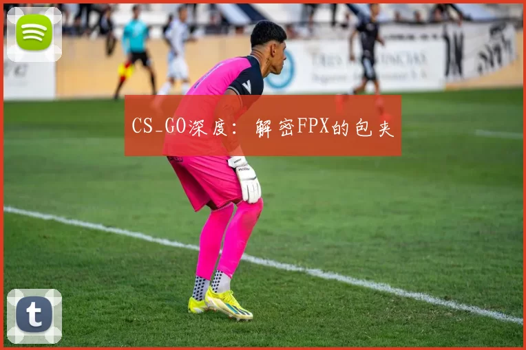 CS_GO深度：解密FPX的包夹