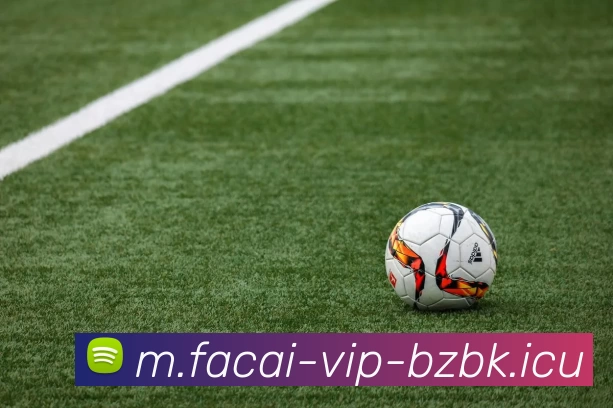 星空体育APP 封面图